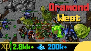 EK 200 Oramond West Where to hunt Solo knight [upl. by Handler202]