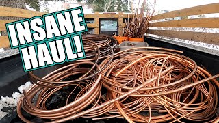 Scrapping MASSIVE Scrap Copper Haul How Much [upl. by Stormy]