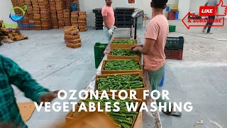 Eltech Ozonator for Vegetable Wash [upl. by Nnahtur]