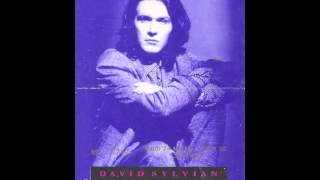 David Sylvian  LIVE IN THEATRE  1988  FULL CONCERT [upl. by Venn]