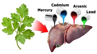 The Best Strategy for Detoxifying Heavy Metals SAFELY [upl. by Yeliw]