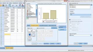 generación de gráficos en SPSS [upl. by Shurlocke]