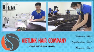 Viet Link Hair  King Of Raw Hair [upl. by Ailesor]