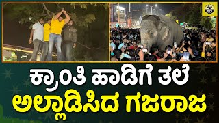 ಕ್ರಾಂತಿ ಹಾಡಿಗೆ ತಲೆ ಅಲ್ಲಾಡಿಸಿದ ಗಜರಾಜ🐘 Kranti Dharani Song  Darshan Kranti Movie Song  Kranti Songs [upl. by Iams]