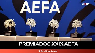 Hispanitas Quinton y Magic Costa Blanca premiados en los XXIX Premios AEFA [upl. by Aivlys583]