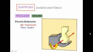 1 Generalidades de articulaciones [upl. by Walcoff]