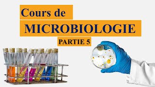 cours de microbiologie partie 5  la taxonomie bactérienne  nomenclature des microorganismes [upl. by Edyaj]