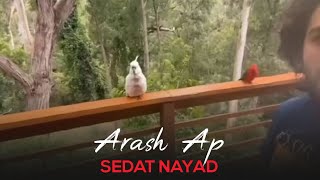 Arash Ap  Sedat Nayad I Teaser  آرش ای پی  صدات نیاد [upl. by Haleigh146]