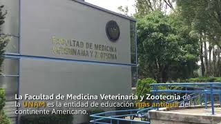 Facultad de Medicina Veterinaria y Zootecnia UNAM [upl. by Rundgren950]