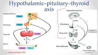 Hypothyroidism Lecture 1 [upl. by Alexi274]