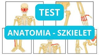 Anatomia szkielet kości  Test Wiedzy poziom podstawowy [upl. by Nivrem]