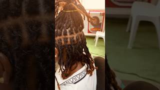 Relocking rough dreadlocks 🔥 motivation explore locs dreadlockshairstyles dreadlocks [upl. by Anigar]