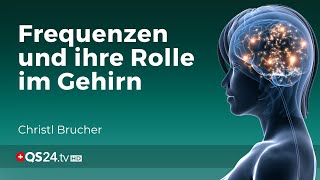 Das Geheimnis der Gehirnfrequenzen  Erfahrungsmedizin  QS24 Gesundheitsfernsehen [upl. by Alyose198]