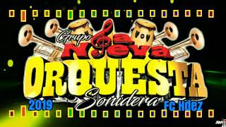 La Cumbia Del Carrito Grupo La Nueva Orquesta Sonidera 2019 [upl. by Lessur690]