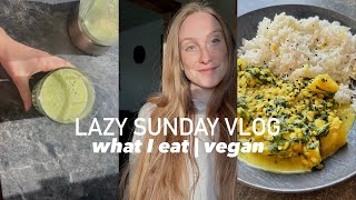 SonntagsVlog  What I eat  vegan amp einfach [upl. by Anuaf]