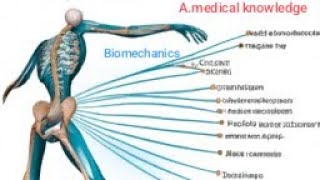 The Biomechanics of human spine Structure of the spine vertebral column and vertebrae part 1 [upl. by Stanislaw]