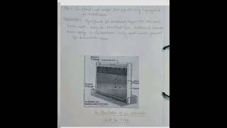 Polyacrylamide Gel Electrophoresispracticalshortsyoutubeshortsyou and biology [upl. by Alvita]