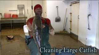 Speed Cleaning Flathead Catfish [upl. by Illek498]