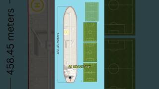 How big was Seawise Giant  the biggest ship mankind has ever created maritime seafarer shorts [upl. by Asirac]