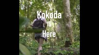 kokoda trek operators [upl. by Schreib]