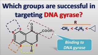SAR of fluoroquinolones  Ofloxacin ciprofloxacin norfloxacin [upl. by Haliak]