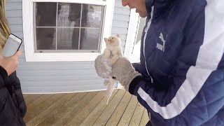 Trovano un gatto congelato in giardino Quello che accade è un vero miracolo damore [upl. by Gignac]