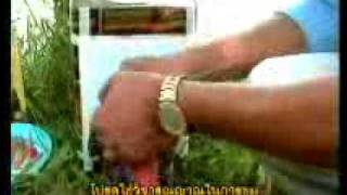 Testing Consecrated Thai Amulets [upl. by Mail]