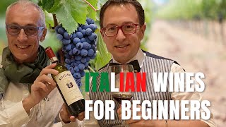 Italian wines for beginners  A beginner guide to Italian wines [upl. by Nivrek922]