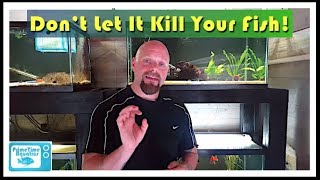 How to Lower Nitrites in an Aquarium [upl. by Dorweiler]