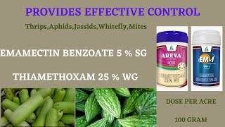 Thiamethoxam25WG and Emamectin Benzoate5SGCombination of InsecticideThripsaphids control [upl. by Yatnohs898]