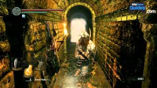 Dark Souls Walkthrough  Depths Giant Rat MiniBoss Part 025  WikiGameGuides [upl. by Sadiras841]