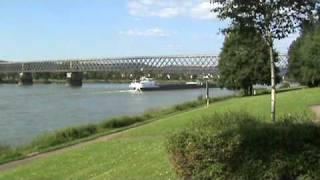 Holländischer Schubverband und andere Rheinschiffe bei der Eisenbahnbrücke von Urmitz [upl. by Hume]