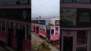 Seaton Tramway car 11 by the River Axe [upl. by Gael337]