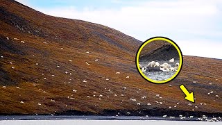 Tourists Thought They Saw Sheep  If This Hadn’t Been Filmed No One Would’ve Believed It [upl. by Onit]