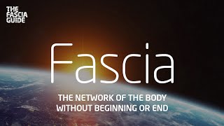 Fascia Documentary The network of the body without beginning or end [upl. by Rafe130]