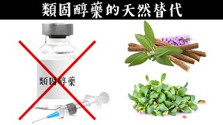 類固醇藥的最好替代法自然療法柏格醫生 Dr Berg [upl. by Claresta]