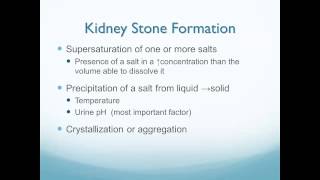 Altered Renal and Urologic Function [upl. by Storfer]