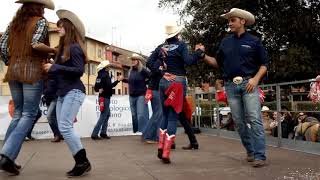 PISTOIA COUNTRY DANCER 2 [upl. by Otreblanauj]