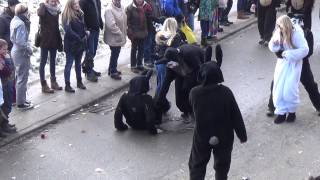 Eichwaldhörnchen Narrenzunft Waldhausen  Bühlerzell Umzug 14022015 [upl. by Cirdla]