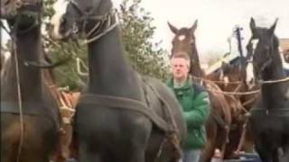 Paardenreddingboot Ameland  clip [upl. by Magena825]