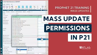 Prophet 21 Training and How To  Mass Update  Permissions [upl. by Ardnohsed]