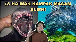 15 Haiwan Nampak Macam Alien [upl. by Ojoj]