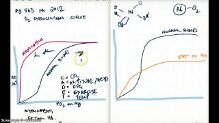 563 FA 12 OXYGEN DISSOCIATION CURVE AND CARBOXYHEMOGLOBIN [upl. by Maddy]