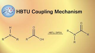 HBTU DIPEA Peptide Coupling Mechanism  Organic Chemistry [upl. by Arza]