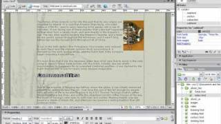 Macromedia Dreamweaver 8 Essential Training chap7 [upl. by Alliuqet944]