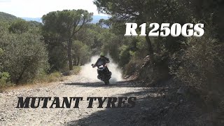 R1250GS  DUNLOP MUTANT OFFROAD [upl. by Bille]