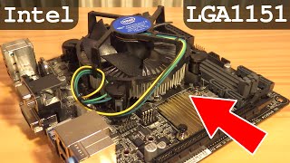 How To Install CPU Intel LGA1151 and Fan  i3 6100 [upl. by Nreval968]