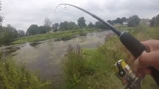 Pêche du brochet au leurre dans un bras mort de Loire GoPro HD [upl. by Kotta452]