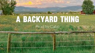 A Backyard Thing  Country type beat x Banjo type beat [upl. by Ehctav481]