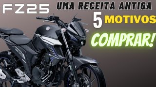 YAMAHA FAZER FZ25 2024 AINDA VALE A PENA CONFIÁVEL E DURAVEL [upl. by Essirahc]